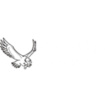 şahin Zincir